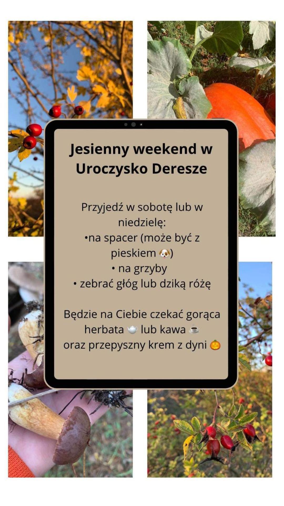 Uroczysko Deresze Villa Gilawy Ngoại thất bức ảnh
